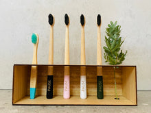 Load image into Gallery viewer, Eucalyptus toothbrush stand
